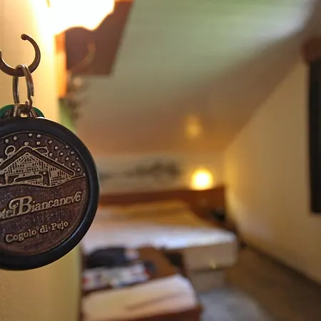 Biancaneve Hotel Cogolo